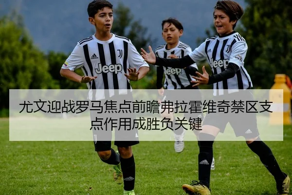 尤文迎战罗马焦点前瞻弗拉霍维奇禁区支点作用成胜负关键（kaiyun）